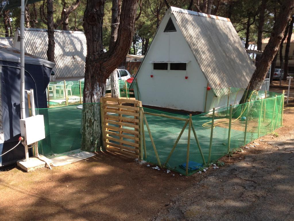 Olympos *