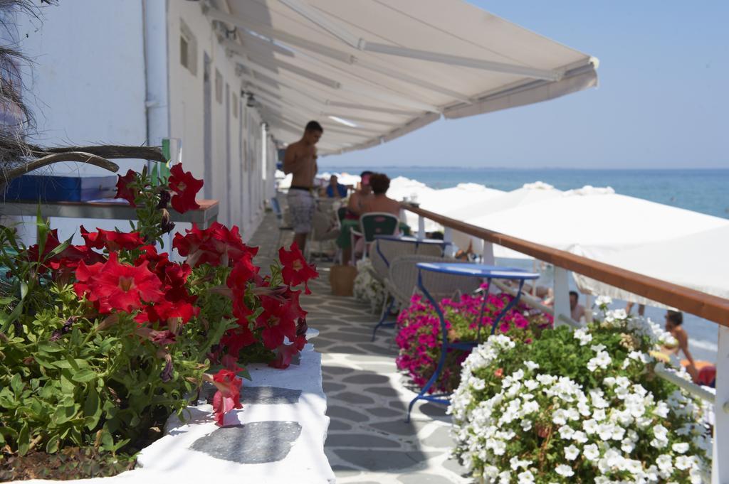 Olympos Camping *