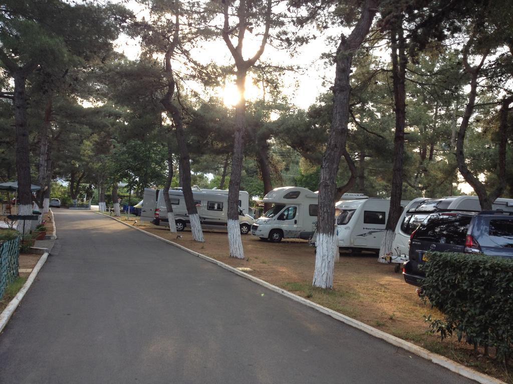 Olympos Camping *