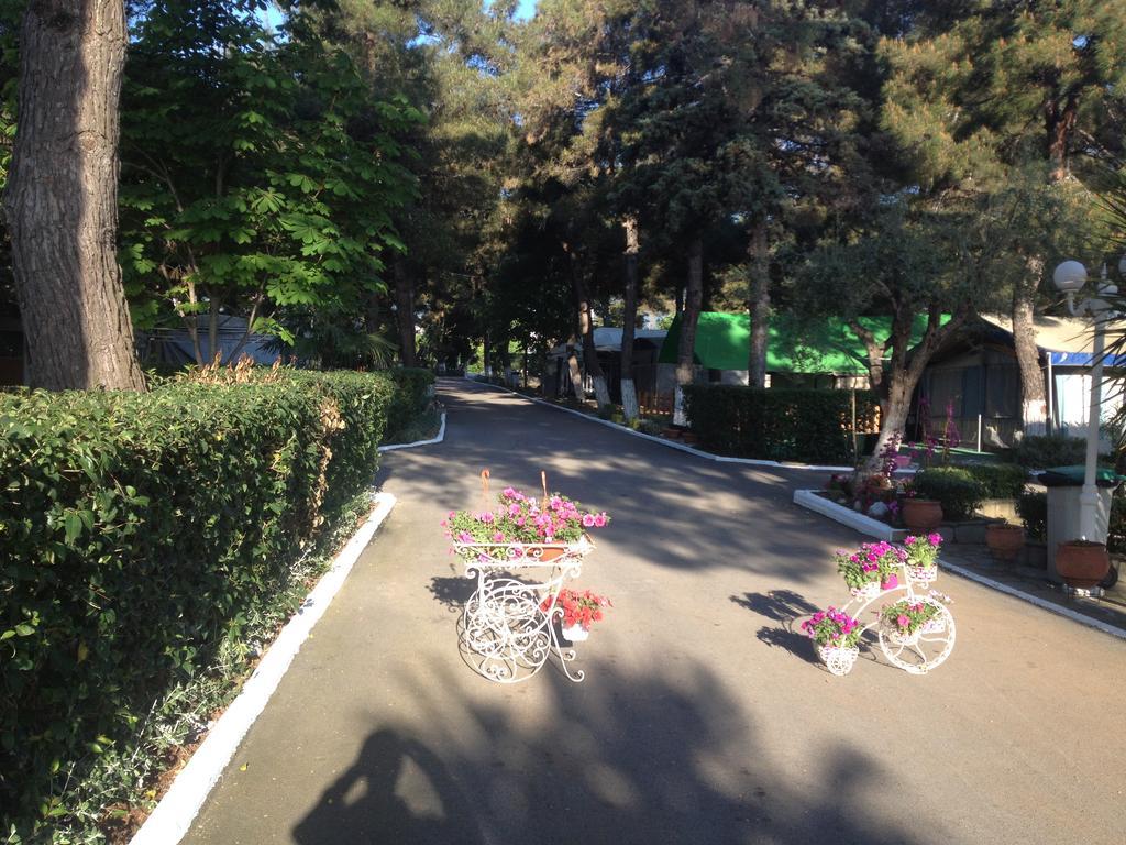 Olympos * Plaka